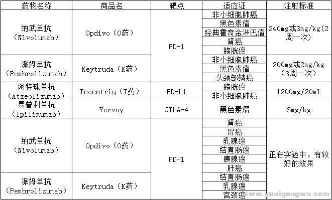 主流单抗药物.jpg