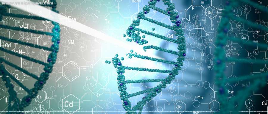 摄图网_300316200_wx_DNA分子数字蓝色DNA分子的生物化学（企业商用）.jpg