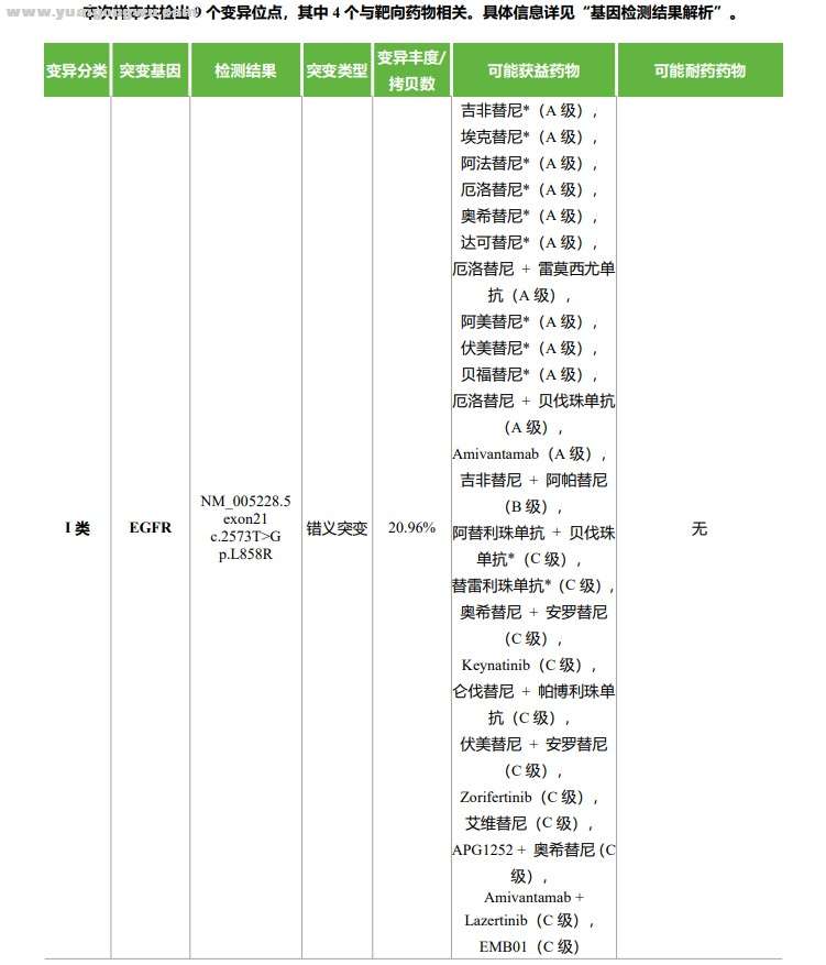 基因报告3.jpg